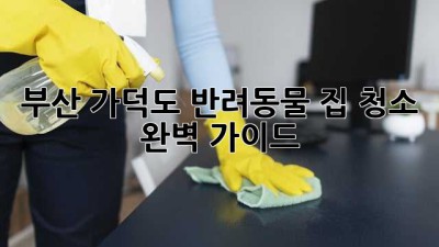 부산 가덕도 반려동물 집 청소 완벽 가이드