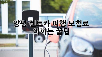 양평 렌트카 여행, 보험료 아끼는 꿀팁🍯