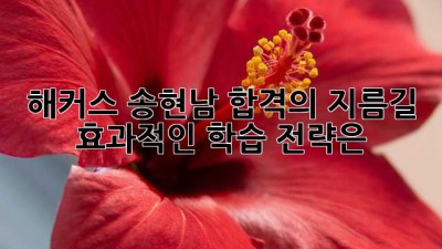 해커스 송현남: 합격의 지름길, 효과적인 학습 전략은?