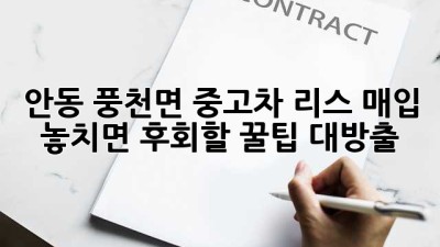 안동 풍천면 중고차 리스 매입, 놓치면 후회할 꿀팁 대방출! 🚗💨